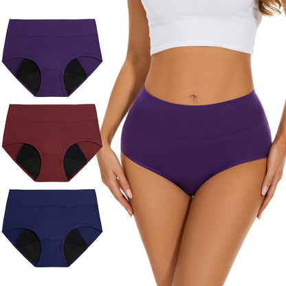 Leakproof Period Underwear With Incontinence Protection